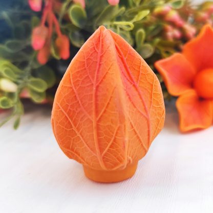 Silikónová forma PHYSALIS púčik - SF 205 - Image 2